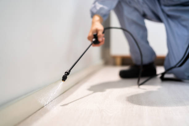 Licensed Pest Control service in New London, IA - Show Me Pest Control