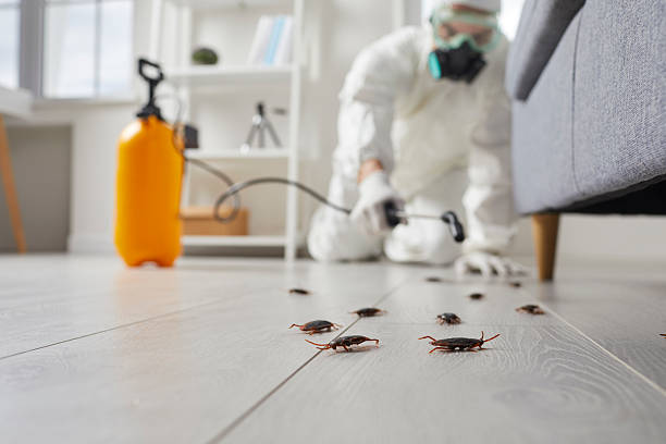 Commercial Kitchen Cockroach Control in New London